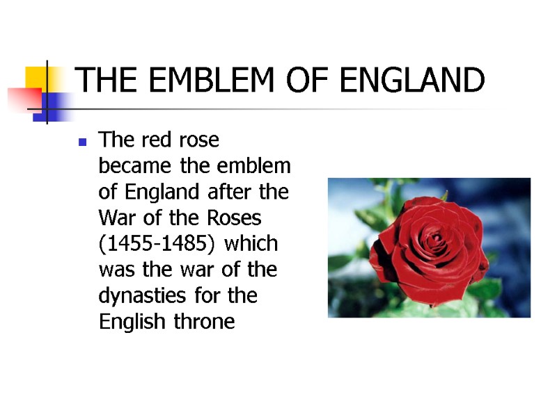 THE EMBLEM OF ENGLAND The red rose became the emblem of England after the